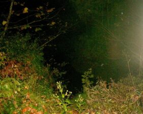 Looking down into the ravine. The flash reflected on the fog and caused the mist to the right.