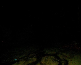 Another photo from the end of the cul-de-sac. It was a very dark night.