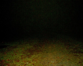 The next photo showed no rain.