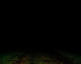 Looking into the field that led to where Amy was supposedly murdered.