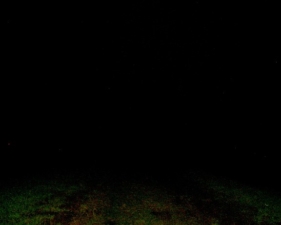 Looking into the field that led to where Amy was supposedly murdered.