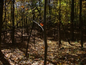 Lilly-Dyer Cemetery as we approached after climbing a hill.
