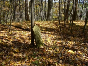 This old tombstone leaned against a tree. The stone was too weathered to read.