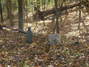 Two graves among the fallen trees.
