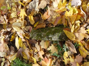 The stump of a stone.