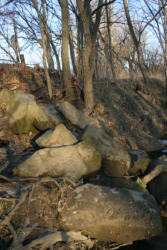These large stones were completely dislodged from their original position.