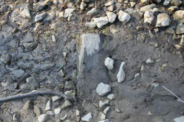 A piece of the bridge along the creek's muddy bank.