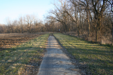 This section of Diley Road had not been traveled in many years.