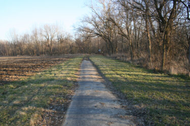 This section of Diley Road had not been traveled in many years.