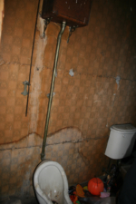 A very old urinal and toilet also occupied the room.