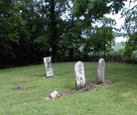 A few tombstones in the back corner of the cemetery.