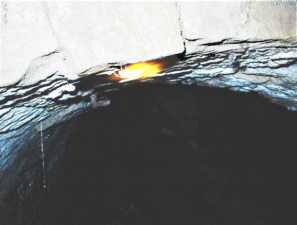 One of the large spiders that lived in the tunnel.