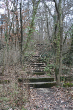 It was easy to see the stairway that led to the mansion when there was no vegetation.