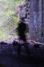 A zoomed, cropped and brightened photo focusing solely on the apparition.