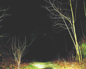Walking down the old rail bed toward Moonville Tunnel at night.