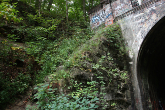 The support wall just outside the west end of the tunnel was covered with vines.