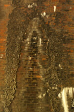 The wall of Moonville Tunnel.