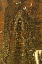 The wall of Moonville Tunnel.