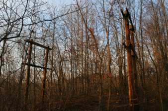 These telegraph poles remained on top of the hill above Moonville Tunnel.