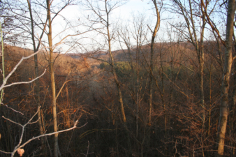 On top of the hill above Moonville Tunnel in November 2010, looking to the east.