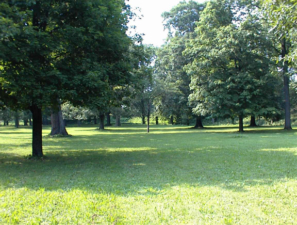 Another view from within the circle.