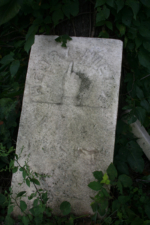 The tombstone for Henry Niesz leaned against a tree.
