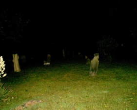 This was the view from the treeline to the road.