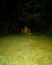 Mary Henry's tombstone was all alone in the back corner of the cemetery.