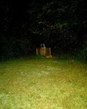 Mary Henry's tombstone was all alone in the back corner of the cemetery.