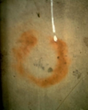 A closer look at the horseshoe mark.