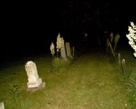 Many of the tombstones had plants next to them.