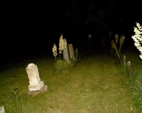 Many of the tombstones had plants next to them.