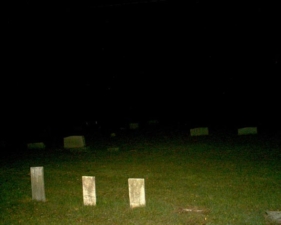 These were some of the few stones that didn't have plants near them.