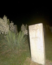 This tombstone glowed from our camera's flash.
