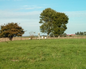 Pancake Cemetery as seen from the corner of the adjacent schoolhouse.