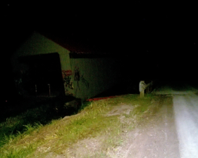 You can see the newer bridge to the right of the old covered bridge.