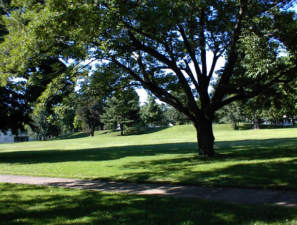 A far away look at the entire Quadranaou Mound.