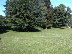 This was the ramp area where we obtained slightly abnormal EMF readings.