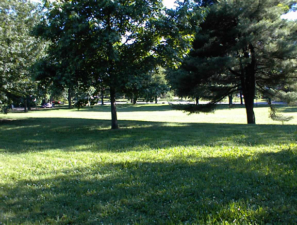 A photo from the top of the mound.