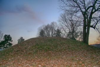 Several trees grew from the sides of the mound.