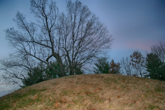 Looking toward the top of the mound.