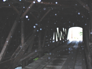 And this photo is of the right side. And yes, those are raindrops, not orbs!