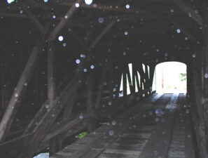 And this photo is of the right side. And yes, those are raindrops, not orbs!
