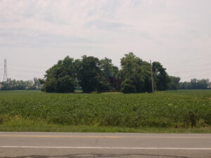A photo of the Rohr Road Brick House the day after the fire. (Photo credit: Mike Long).