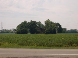 A photo of the Rohr Road Brick House the day after the fire. (Photo credit: Mike Long).