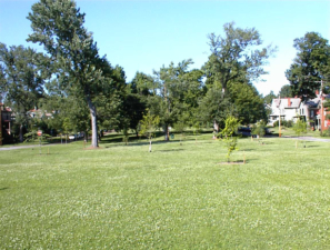 This field was what remained of the Sacra Via.