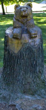 The bear.
