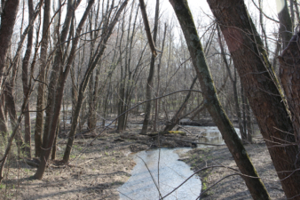 You can see where Lick Run dumps into Paint Creek in this photo.