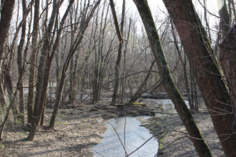 You can see where Lick Run dumps into Paint Creek in this photo.