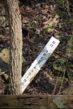 An obligatory "No Trespassing" sign. The land is railroad property.